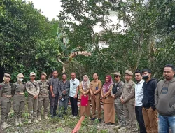 Pembongkaran Menara Telekomunikasi di Petung