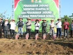 Tanam Jagung Libatkan Pelajar, Estimasi Produksi 5 Ton per Hektare