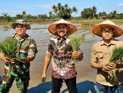Target IP 2,5 Pertanian PPU Terancam Gagal, Musim Tanam Molor