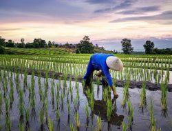 Alih Fungsi Lahan di Babulu Jadi Sorotan, Bupati PPU Ambil Langkah Tegas