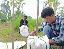 Otorita Targetkan Kawasan Lindung IKN 164 Ribu Hektare