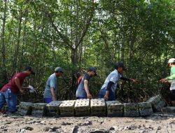 Mahulu Kembangkan Kawasan Terpadu Perhutanan Sosial